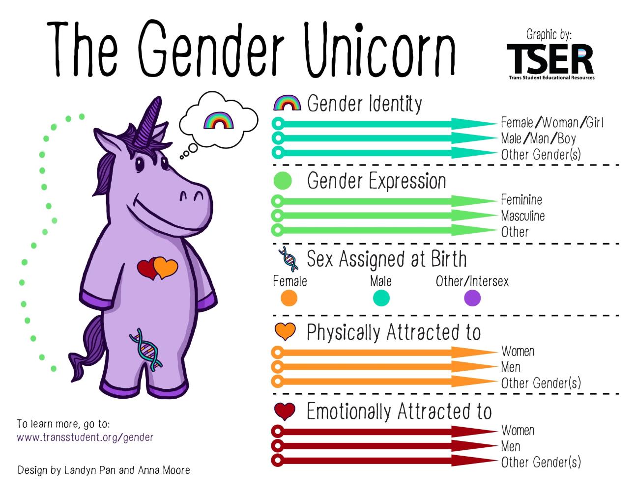 Gender, sex and sexuality